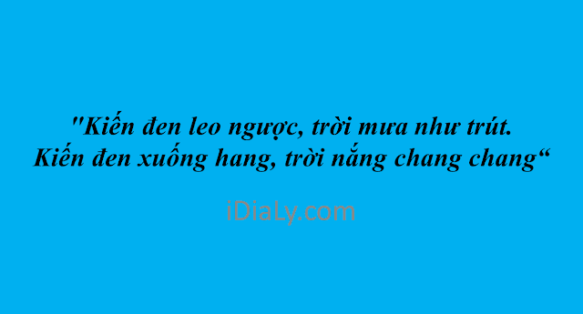 ca-dao-tuc-ngu-hay-Viet-Nam