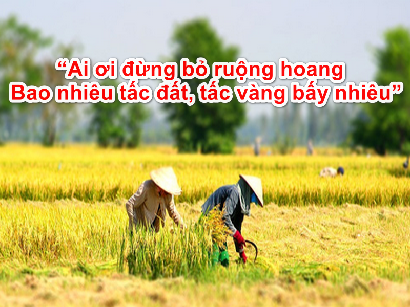 ca-dao-tuc-ngu-Viet-Nam