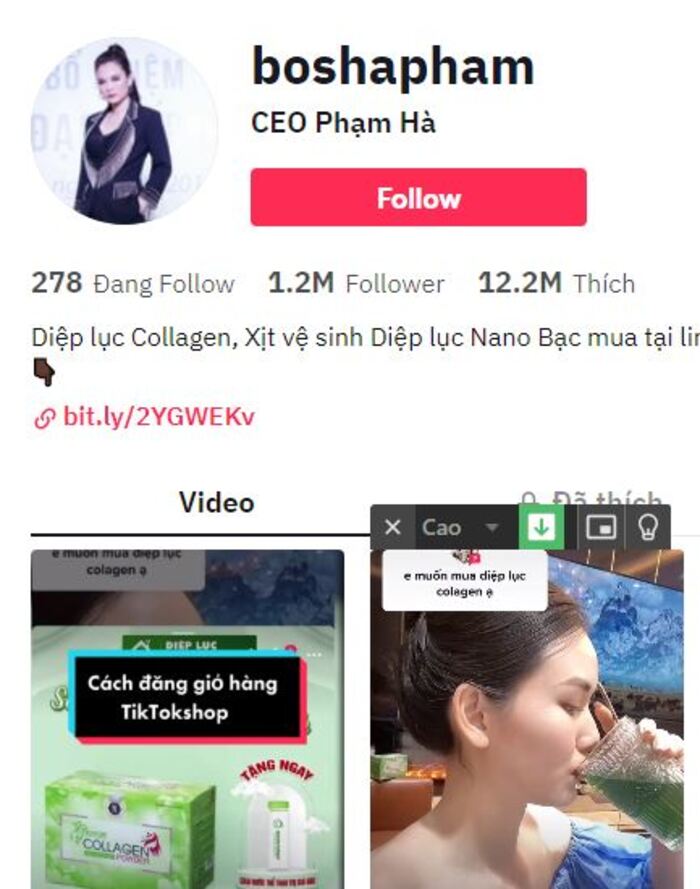 Case study của Tiktoker CEO Phạm Hà