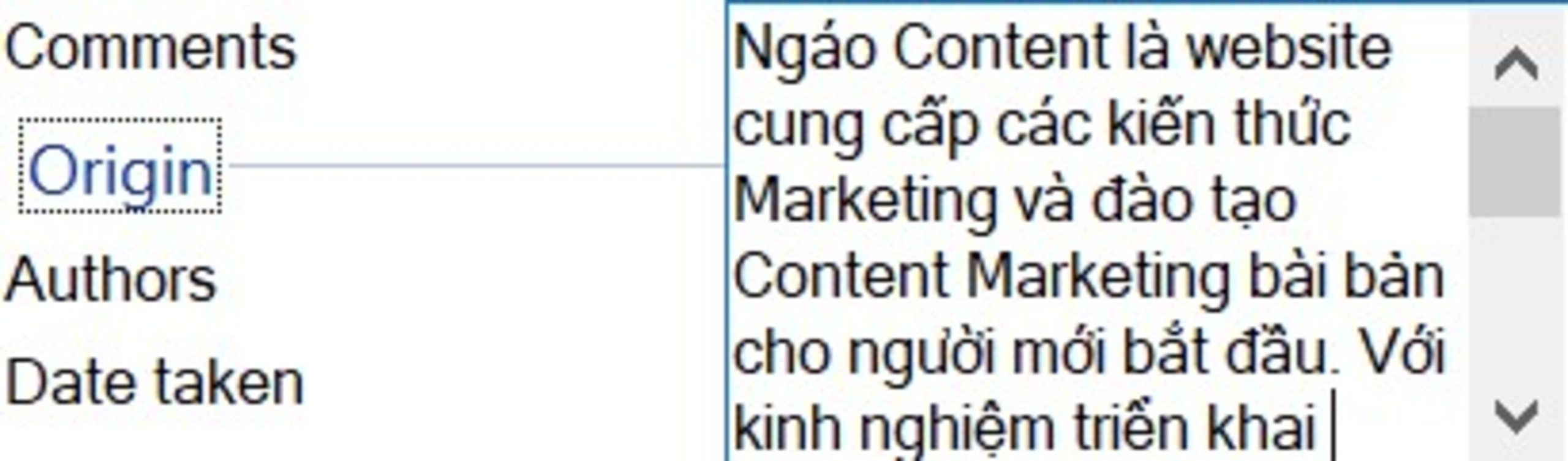 Ví dụ: Ngáo Content là website cung cấp các kiến thức Marketing và đào tạo Content Marketing bài bản cho người mới bắt đầu. 