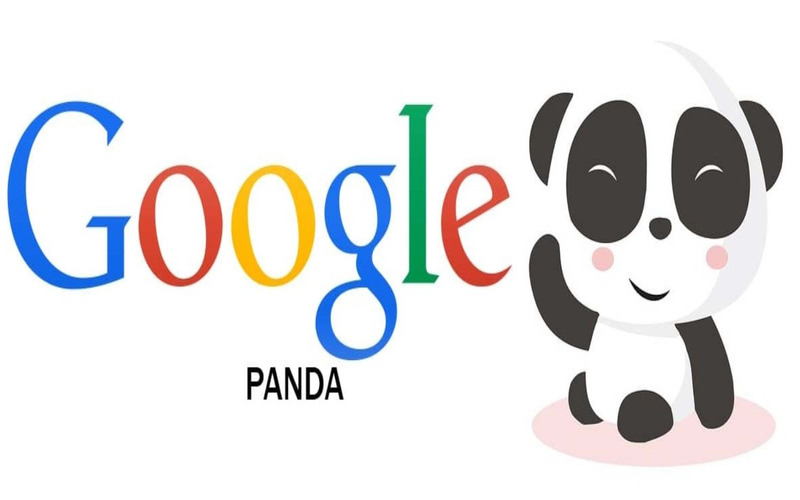 Panda là một trong số các thuật toán của Google mà SEOer cần biết