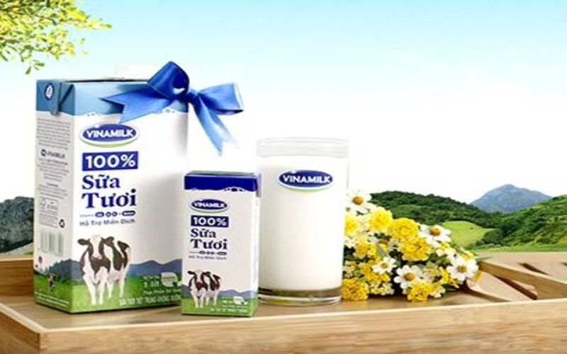 Vòng đời sản phẩm của sữa Vinamilk là một ví dụ thú vị bạn nên tham khảo